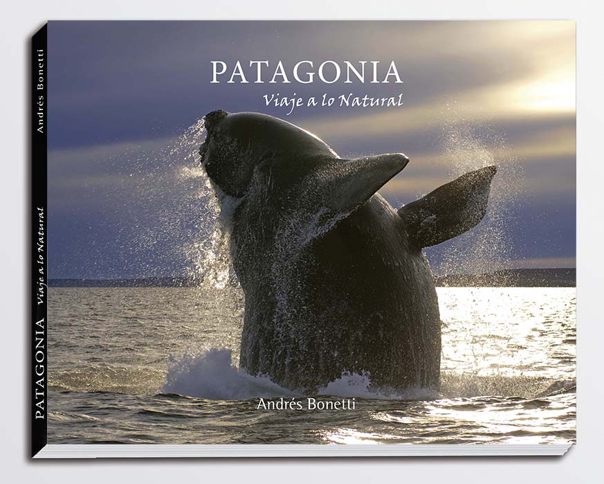 PATAGONIA