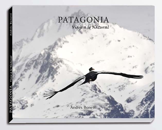 PATAGONIA